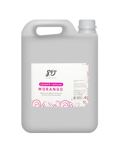 Shampoo Morango 5L Profissional | Shampoos e Cremes de Rampa  | 