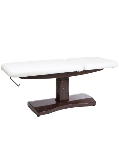 Marquesa Trapp Elétrica 2 Motores - Weelko Marquesa Elétrica