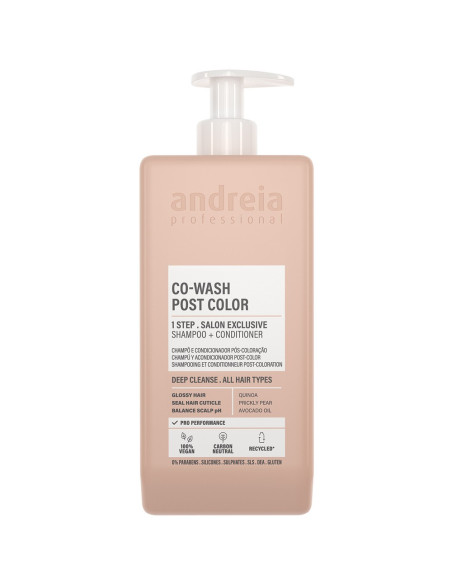 Champoo e Condicionador Tratamento 2 em 1 Pós Coloração 1000ml - Andreia Profissional Cuidados Cabelo Pintado Andreia