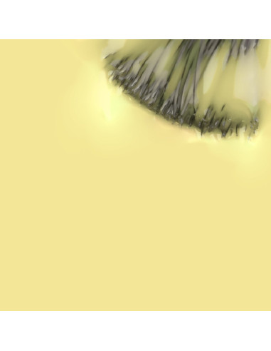 Verniz Gel Girassol 15ml - Coleção FLORA INOCOS INOCOS Verniz Gel