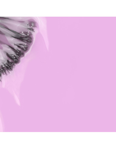 Verniz Gel Violeta 15ml - Coleção FLORA INOCOS INOCOS Verniz Gel