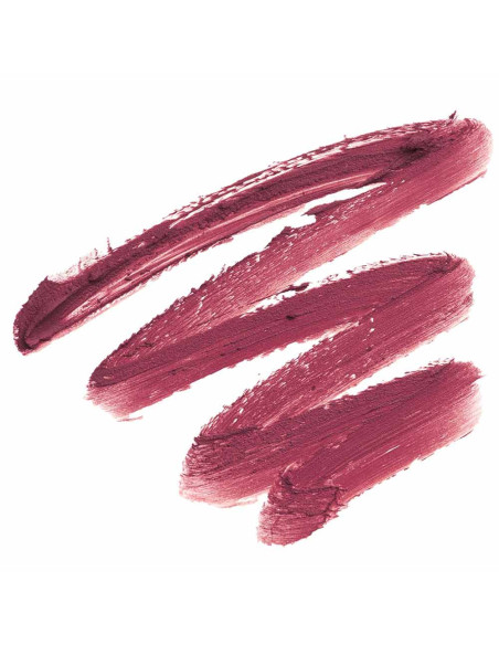 Batom Stick de Lábios Andreia Profissional Silky Matte 01 Plum