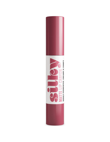 Batom Stick de Lábios Andreia Profissional Silky Matte 01 Plum