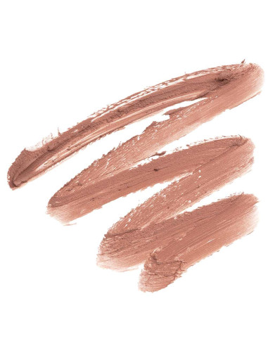 Batom Stick de Lábios Andreia Profissional Silky Matte 06 Nude Beige