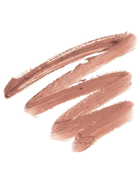 Batom Stick de Lábios Andreia Profissional Silky Matte 06 Nude Beige