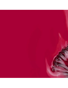 Verniz Efeito Gel Inocos Like Gel 209 11ml Vermelho Imperial 2