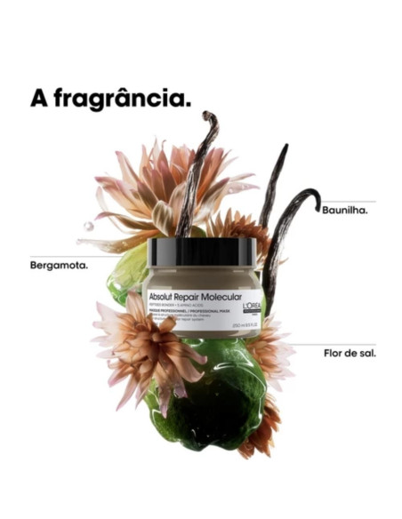 Máscara L'Oreal Absolut Repair Molecular 250ml