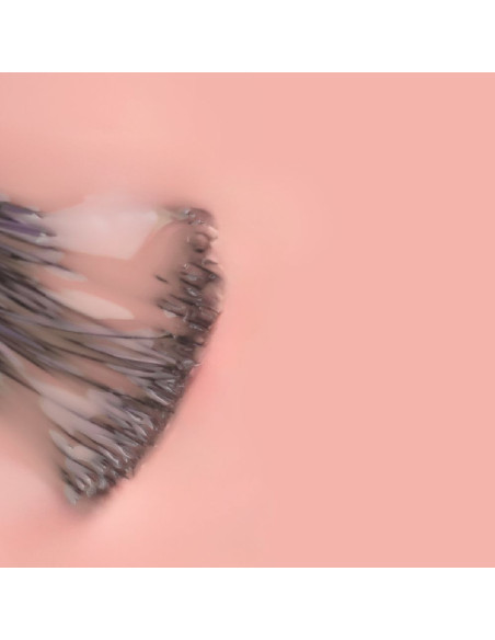 Verniz Gel Inocos Natura Lovers Spice Edition 493 Sal Rosa