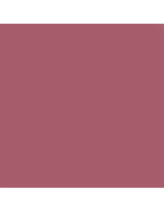 Andreia Professional Verniz Gel Best Of IN6 2