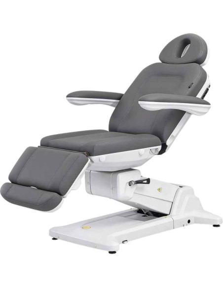 Cadeira Estética Elétrica Weelko SIMUS 4 Motores Cinza