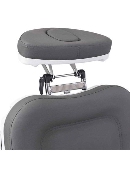 Cadeira Estética Elétrica Weelko SIMUS 4 Motores Cinza