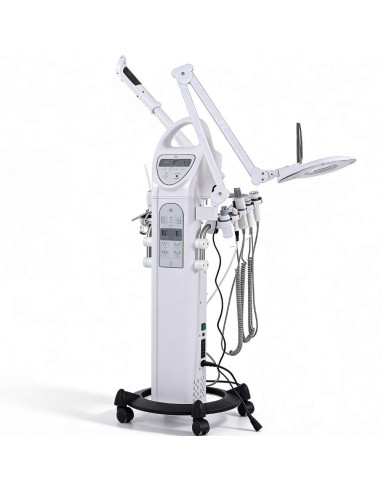 WEELKO Torre Multifuncional Estética Facial 9 em 1 Profissional ENTIR