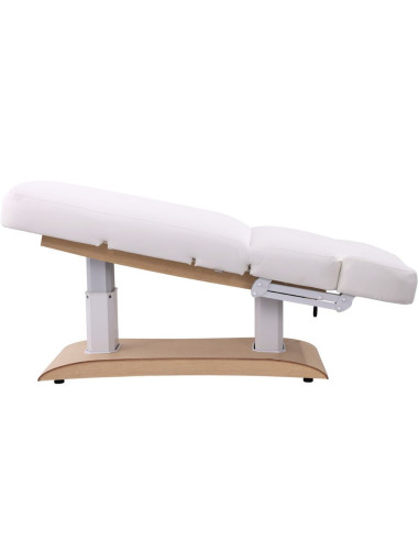 Weelko TROCH+ Maca Elétrica Spa 4 Motores com Aquecimento
