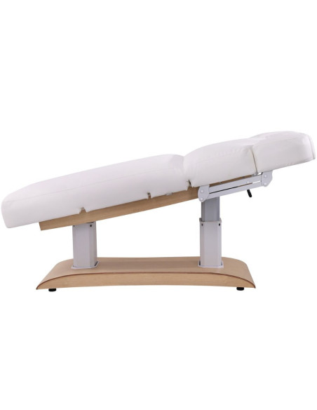 Weelko TROCH+ Maca Elétrica Spa 4 Motores com Aquecimento