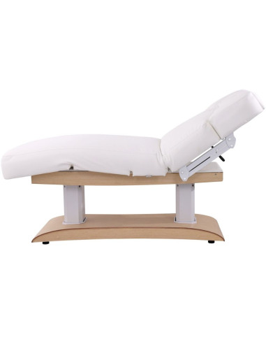 Weelko TROCH+ Maca Elétrica Spa 4 Motores com Aquecimento