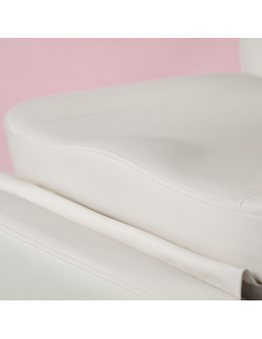 Weelko AURA Maca Elétrica de Estética 3 Motores com Aquecimento