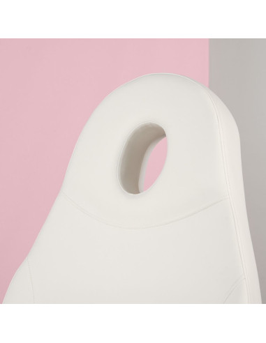 Weelko AURA Maca Elétrica de Estética 3 Motores com Aquecimento