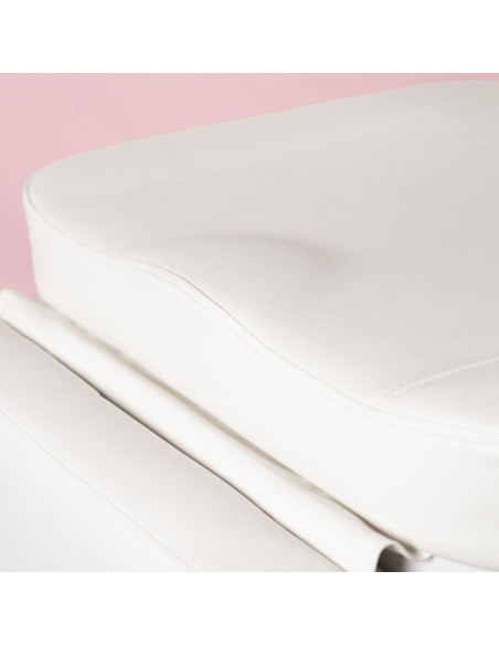 Weelko OASIS Maca Elétrica de Estética 4 Motores com Aquecimento