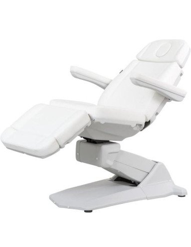 Weelko MAXI SMART Maca Elétrica de Estética 4 Motores