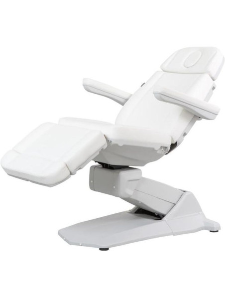 Weelko MAXI SMART Maca Elétrica de Estética 4 Motores
