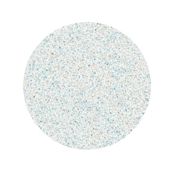 STALEKS PRO PODODISC L EXPERT Lima Adesiva Descartável 100 Grit – 50 Un.