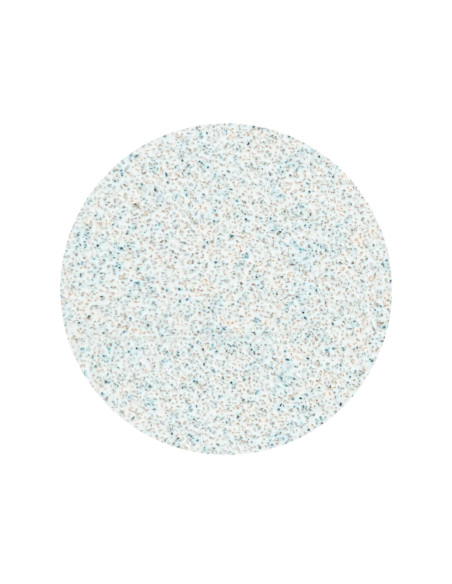 STALEKS PRO PODODISC L EXPERT Lima Adesiva Descartável 100 Grit – 50 Un.