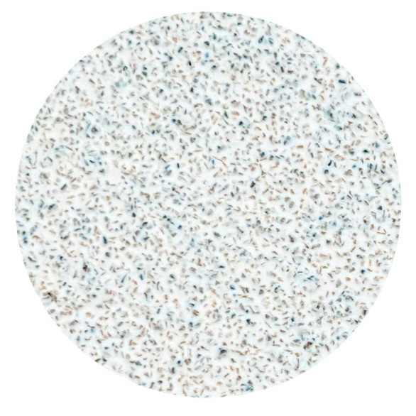 STALEKS PRO PODODISC L EXPERT Lima Adesiva Descartável 80 Grit – 50 Un.