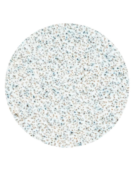STALEKS PRO PODODISC L EXPERT Lima Adesiva Descartável 80 Grit – 50 Un.