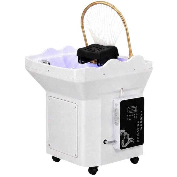 Head Spa Portátil – Equipamento para Tratamentos Capilares