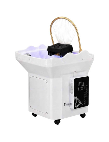 Head Spa Portátil – Equipamento para Tratamentos Capilares