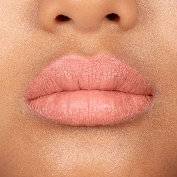 Andreia Professional Lipstation Velvet Lipstick 12 Rosewood Hub – Batom Aveludado FPS 30