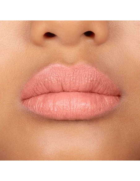 Andreia Professional Lipstation Velvet Lipstick 12 Rosewood Hub – Batom Aveludado FPS 30
