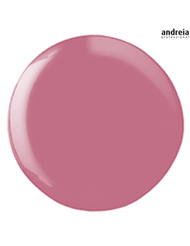 Andreia Hybrid Gel H17 Verniz Andreia Hybrid Gel