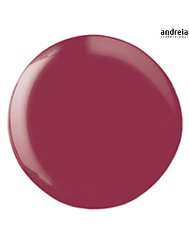 Andreia Hybrid Gel H21 Verniz Andreia Hybrid Gel