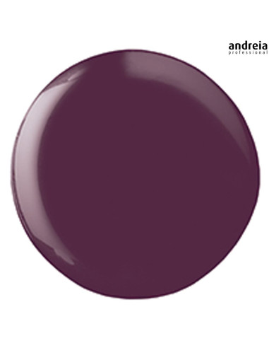 Andreia Hybrid Gel H26 Verniz Andreia Hybrid Gel