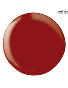 Andreia Hybrid Gel H31 Verniz Andreia Hybrid Gel 2
