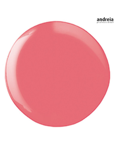 Andreia Hybrid Gel H33 Verniz Andreia Hybrid Gel