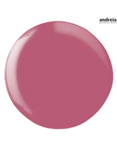 Andreia Hybrid Gel H67 Verniz Andreia Hybrid Gel 2