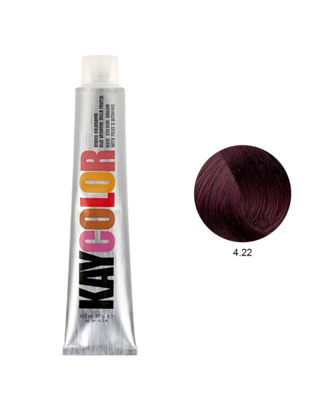 Coloração 4.22 Castanho Violeta Powered 100ml - Kaycolor Kay Color