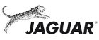 Jaguar Left